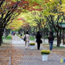 가을 이미지