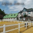 어사농장 | 화성 드림아트스페이스 동물 체험카페 입장료 아쉬운점