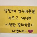 성지분식 이미지