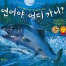 연어야연어야