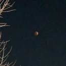 수현팜 | 정병과 함께 찾아온 공포주간