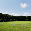 그린샷스크린골프연습장 이미지