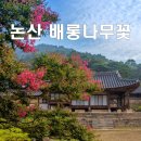 사색의길(종학당) | 논산하면 떠오르는 배롱나무꽃 명소 BEST3 명재고택 종학당 돈암서원