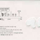 수성 14회 동기, 박선자 친구 자녀(보라)양이 시집 간답니다. 이미지