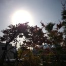 KCC아파트관리소 이미지