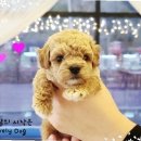 견생스타일 이미지