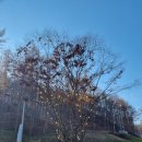 진천길약국 이미지