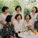 [8편] 50대 이후의 빛나는 삶: 폐경기 호르몬 변화, 지혜롭게 이겨내는 법