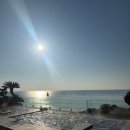 (주)스카이렌트카 | 부산 파라다이스 호텔 호캉스 2부 씨메르 오션스파풀 온더플레이트 조식 오륙도 스카이워크 방문기