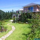 하늘숲펜션 이미지