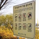 오학 걷고싶은거리 이미지