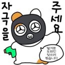 홍대 솔로파티 멜로우 하우스 내돈내산 후기