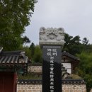 능주향교 은행나무 이미지