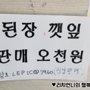 더진국 영덕영해점