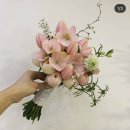 리원드블랑 이미지