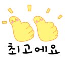 산호동162 이미지