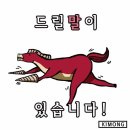 희죽희죽