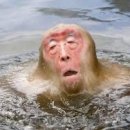 푸른밤 그별아래 이미지