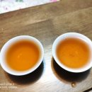 일기일회 이미지