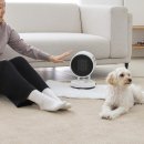 캠핑 온풍기 소형 팬히터 가정용 전기 열풍기 사무실 미니 온풍기 이미지