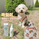 바잇미 해충방지 강아지여름옷 버그쉴드쿨베스트와 헤잇미플러스 솔직후기