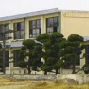 임자초등학교 이미지