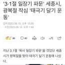 '3·1절 일장기 파문' 세종시, 광복절 작심 '태극기 달기 운동' 이미지