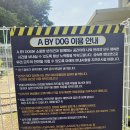 에이펜션(A펜션) | [가평] 서울 근교 천연잔디에서 뛰뛰 가능한 경기 가평 애견 운동장 애견카페 에이바이독