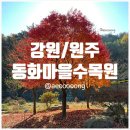 동화마을수목원 | [강원/원주] 아이와 함께 가기 좋은 곳 동화마을수목원 방문 후기 무료입장 주차장 꿀팁