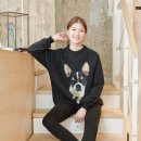 제이라이트 이미지