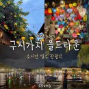 베트남 호이안 여행 필수 관광지 구시가지 올드타운 야시장 구경