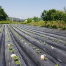 해보농장 이미지