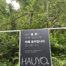 하우요 | 창원 귀산카페추천 마창대교뷰카페추천 하우요커피 아이와방문후기
