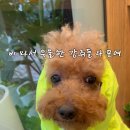 우프테이블 이미지