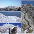 3월18일 영주 소백산 산행-울산 산오름 산악회 이미지