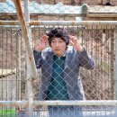 하울링 이미지