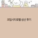 코업시티호텔 성산 후기 2025년 여행객 필수 체크리스트