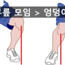 업프로짐 이미지