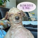 씨유안경 | [부산/화명동] 아이박스 안경점👓 직접 다녀온 솔직 후기