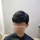 가모미모 이미지