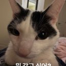 중국어기초 이미지