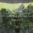 사랑채치킨 이미지