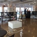 파트너펫 이미지