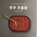 돌고 돌아 드디어 정착한 다비네스 오아이 샴푸 내돈내산 찐 후기