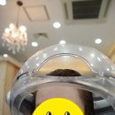 너를위한염색 이미지