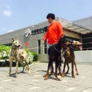 안녕하세요 이미지