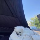 강나루캠핑야영장 이미지