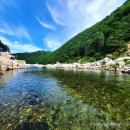관동가스충전소 | 울진 구산해수욕장 야영장 완벽 가이드 — 여름 캠핑의 모든 것