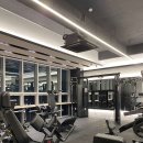 머슬메카 이미지