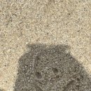 우정다방 이미지